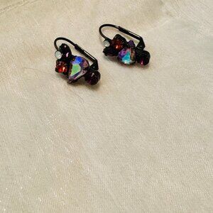 Sorelli Earrings